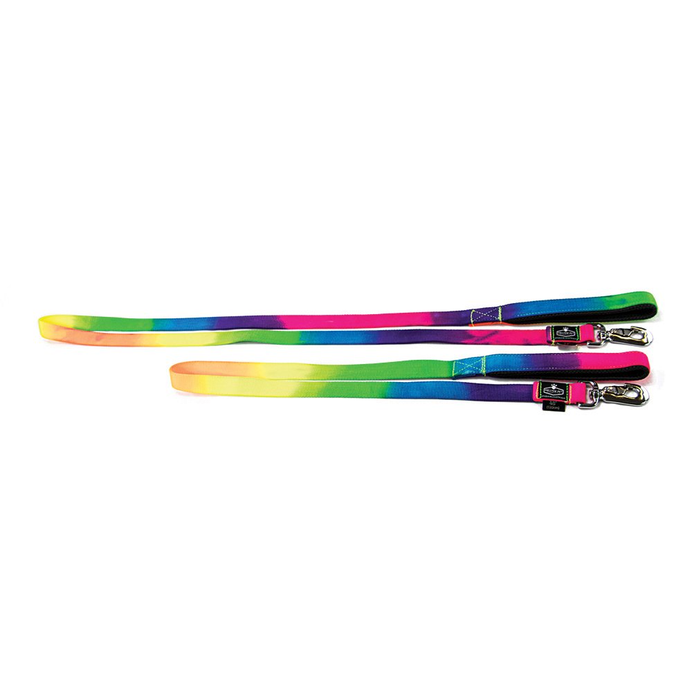 Soft Padded Leash 1" x 6' Rainbow (183cm)