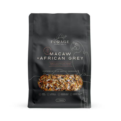 Forage Gourmet - Macaw & African Grey