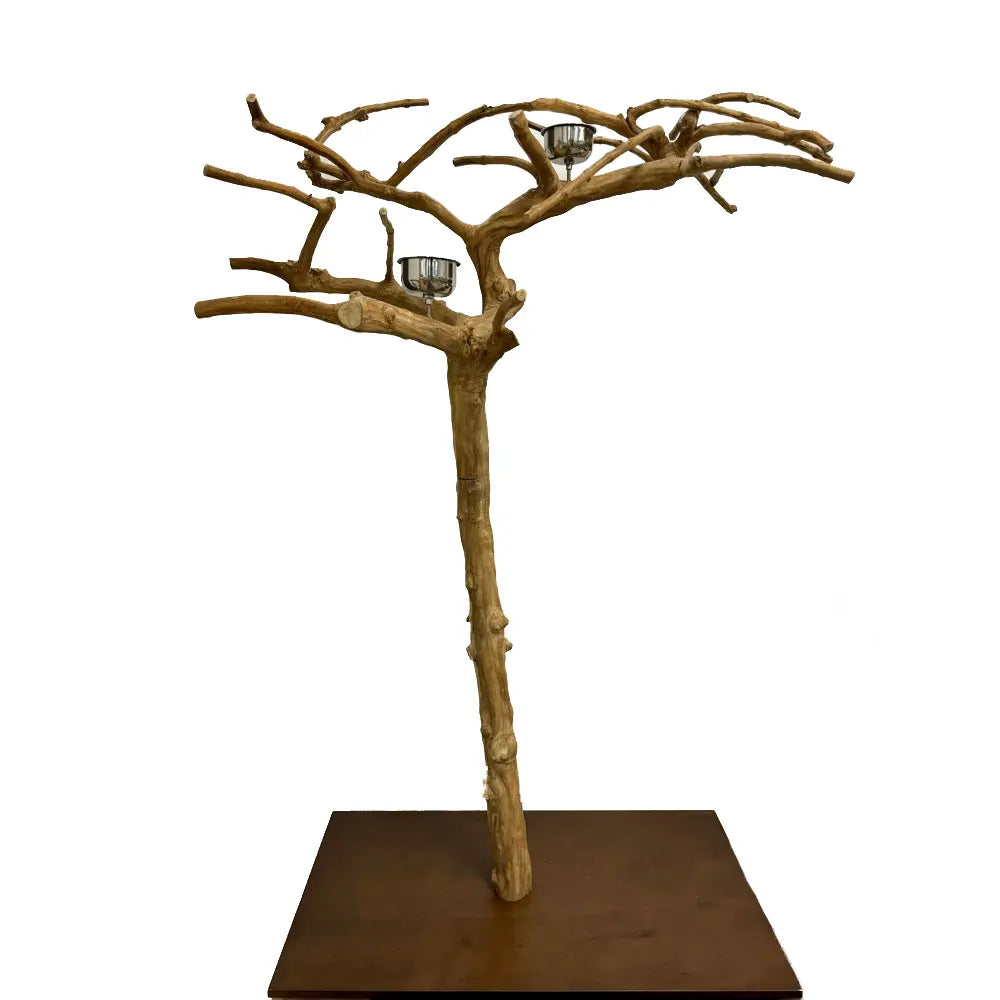 Nino's Java Floor Tree Stand - Store Pick Up Only