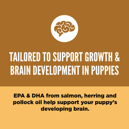 Orijen Puppy Food 2kg