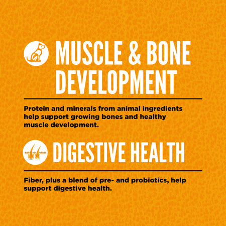 Orijen Puppy Food 2kg