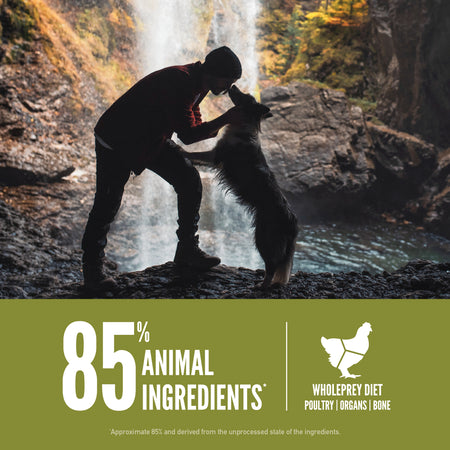 Orijen Senior Dog Food 2kg