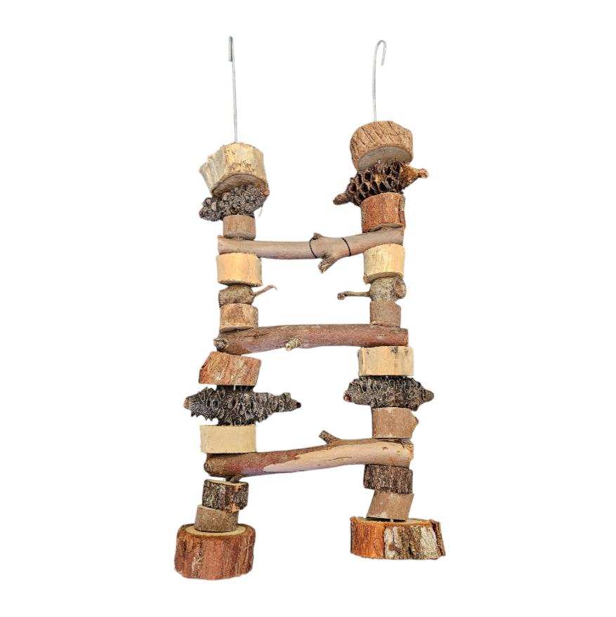 Natural Ladder Natural Ladder
