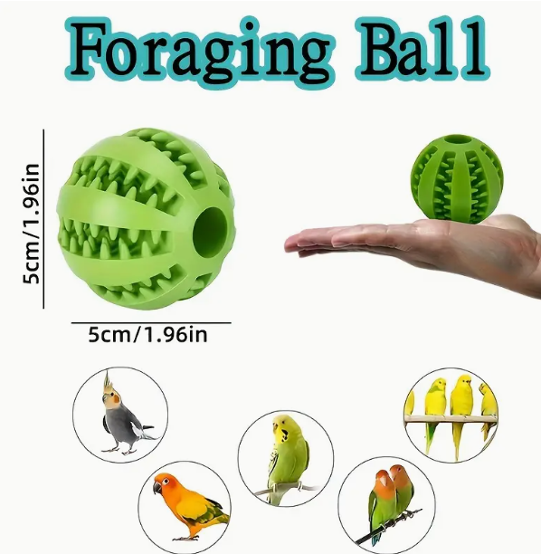 Parrot Foraging Ball