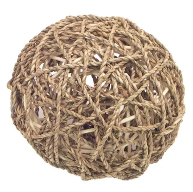 Seagrass Fun Ball