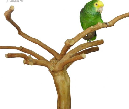 Java Tabletop Tree - Store Pick Up Only