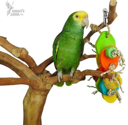 Java Tabletop Tree - Store Pick Up Only