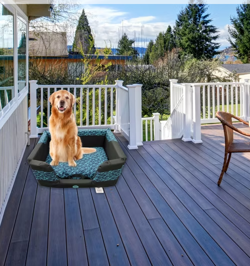 Bono Fido Stay Dry Dog Bed