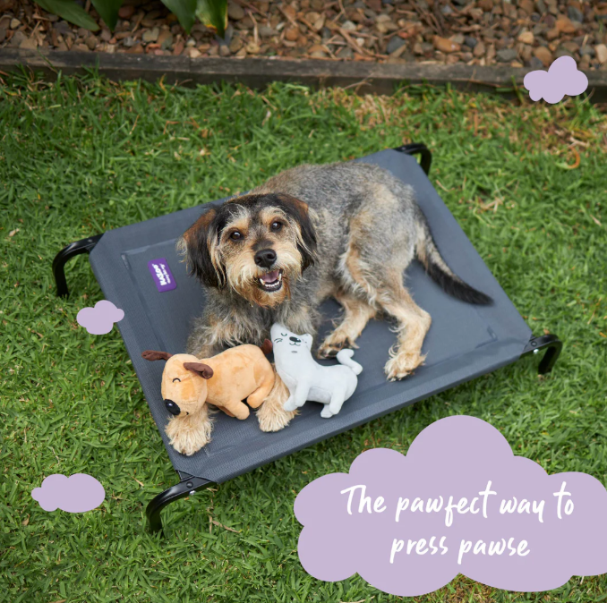 Premium Outdoor Dog Bed - Charcoal