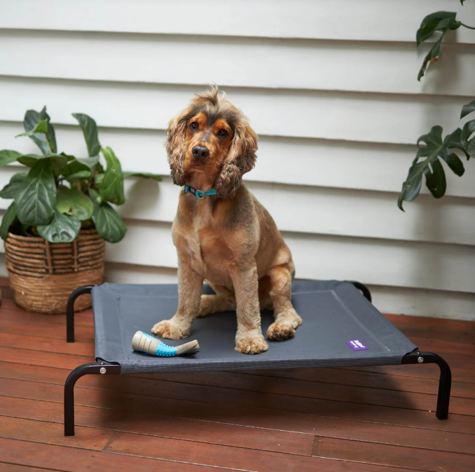 Premium Outdoor Dog Bed - Charcoal