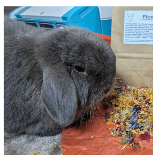 Little Cheeks Farm Fresh Pure Cornflower 35g