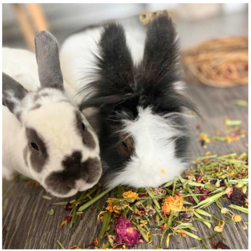 Little Cheeks Farm Fresh Pure Jasmine Flower 25g