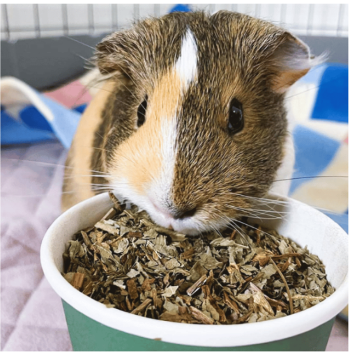 Little Cheeks Farm Fresh Pure Dandelion Leaf 50g