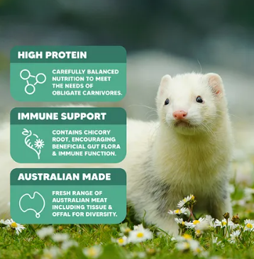 Ferret Origins Diet