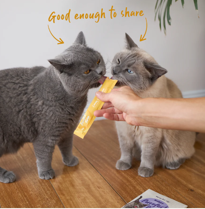 Purrfect Puree Cat Treat - Chicken