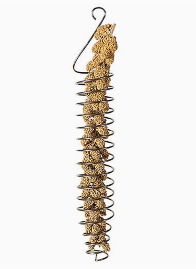 Stainless Steel Millet Holder Bird Toy – Featherland