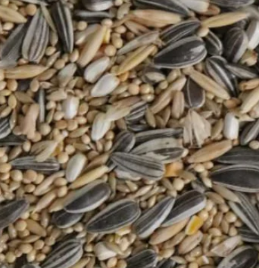 Murphy's Small Parrot Mix- 2kg