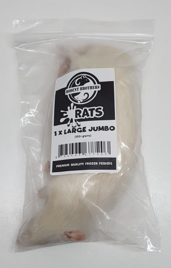 Rats XL Jumbo 1 Pack (350+ Grams)- Pick up only.