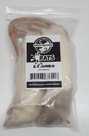 Rats Jumbo 2 Pack (250-349 Grams)-Pick up only.