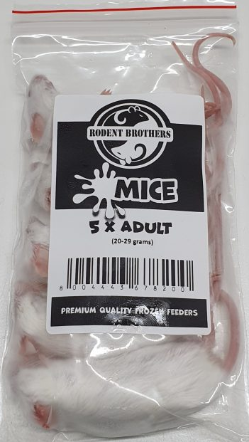 Adult Mice 5 pack (20-29 grams)-Pick up only.