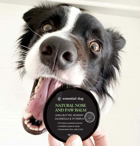 Natural Nose and Paw Balm for Dogs 50g