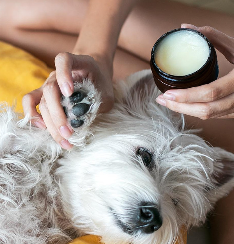 Natural Nose and Paw Balm for Dogs 50g