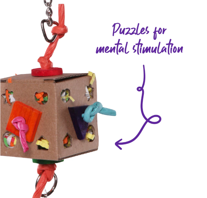 Kazoo Activity box with bell (2 Sizes)
