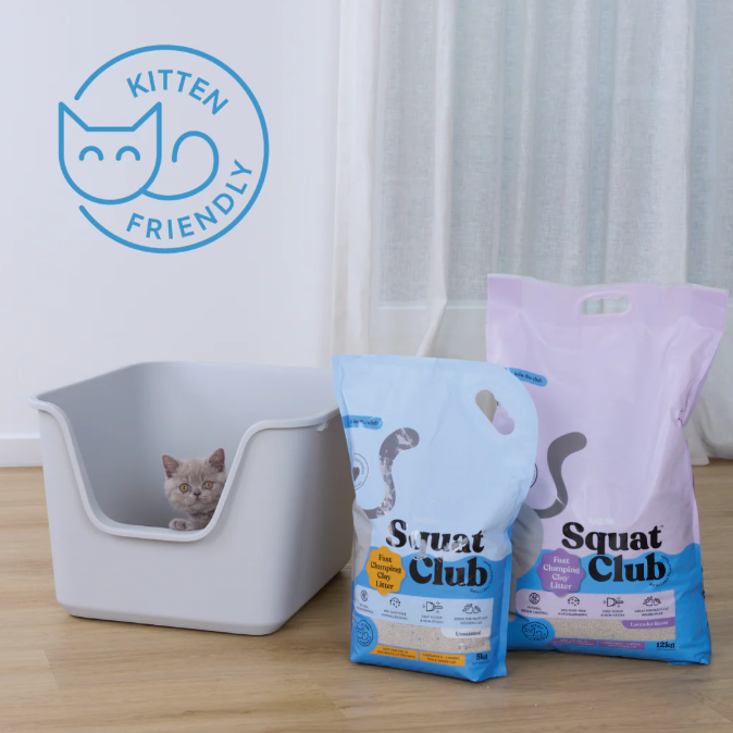 Squat Club Clumping Cat Litter