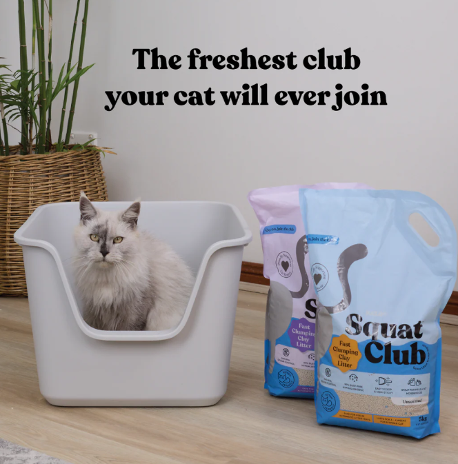 Squat Club Clumping Cat Litter
