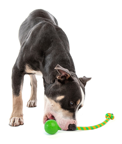 Squeaking Rope