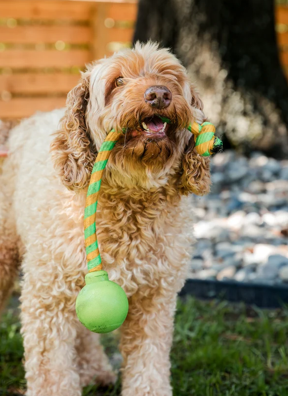 Squeaking Rope