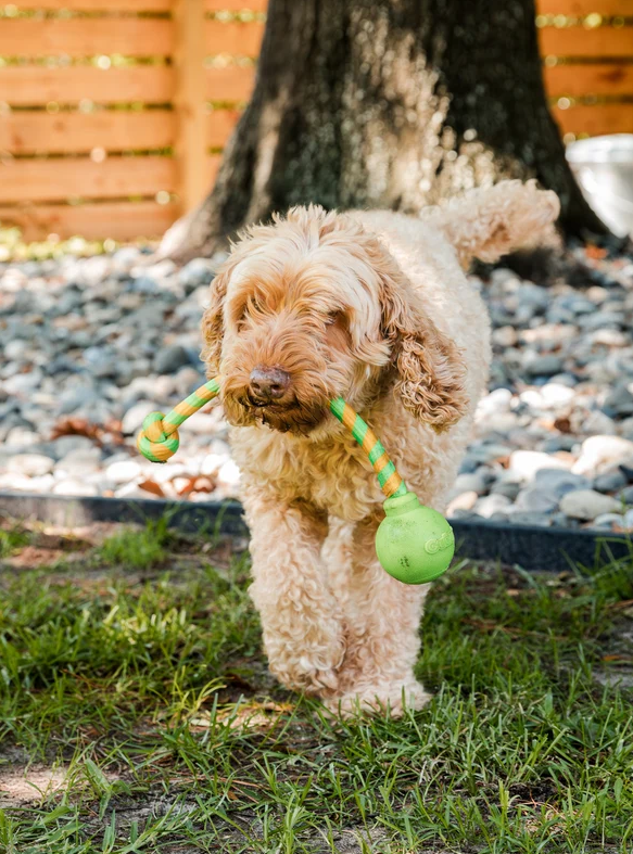 Squeaking Rope