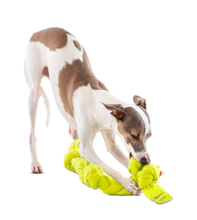 Figure 8 Squeaking Tennis Snuffle Rope