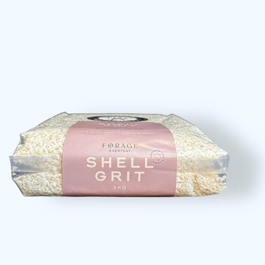 Forage Everyday Medium Shell Grit