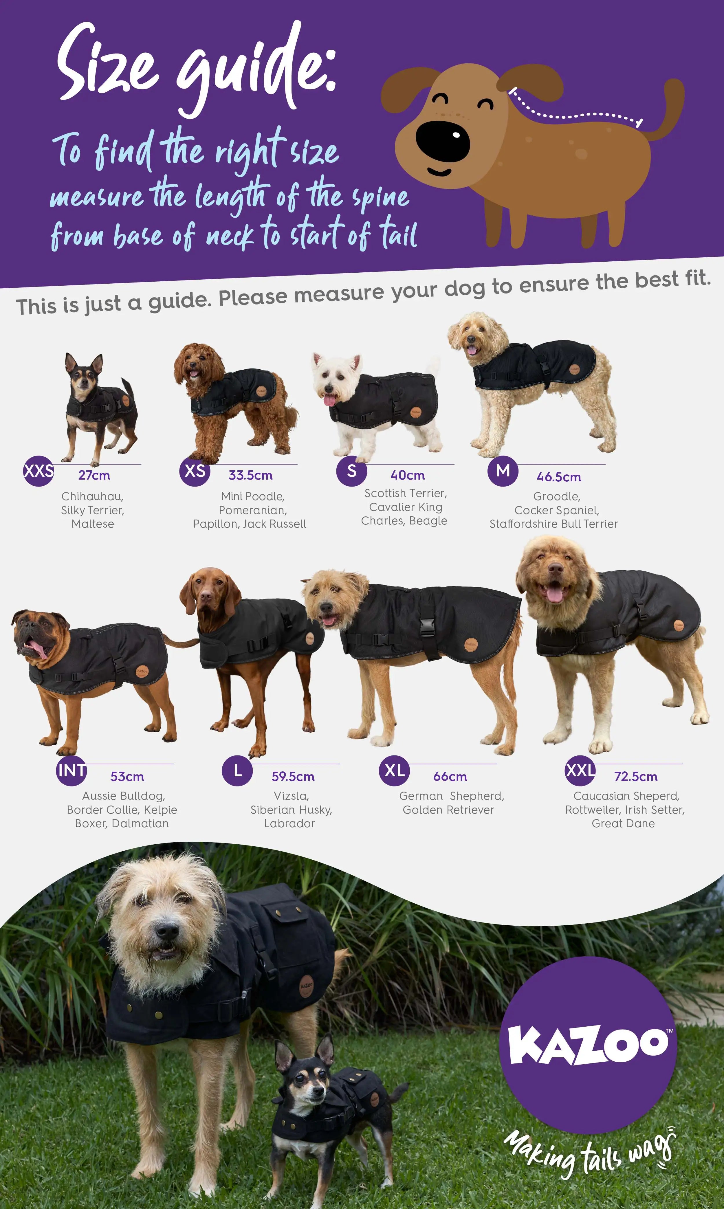 Pink Posy Dog Jumper