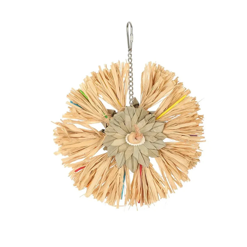 Sunburst Bird Toy