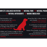 Talentail Premium Lamb with Brown Rice Adult