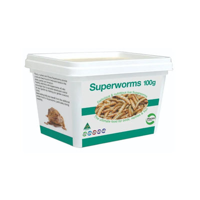 Superworms100g