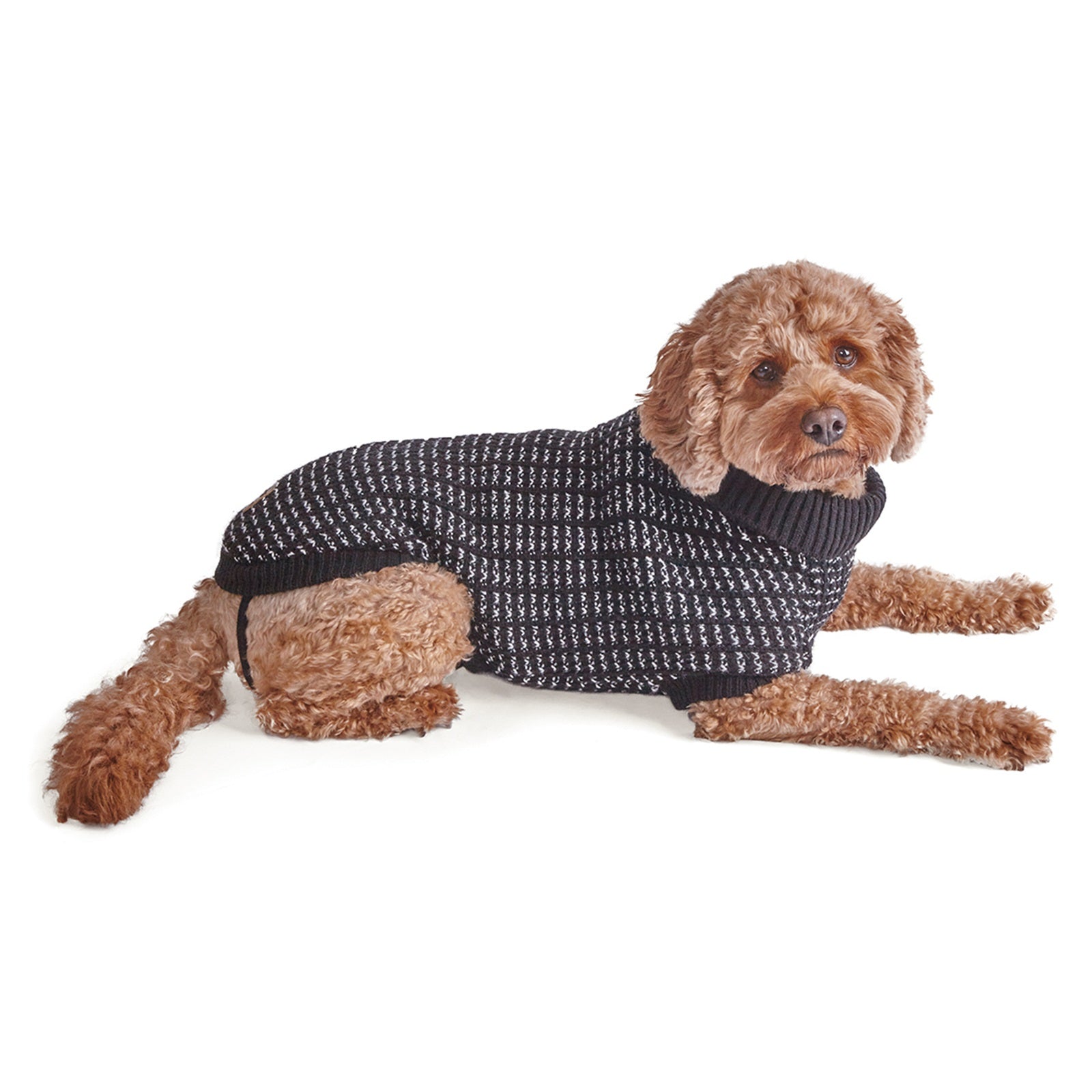 Joey Dog Jumper