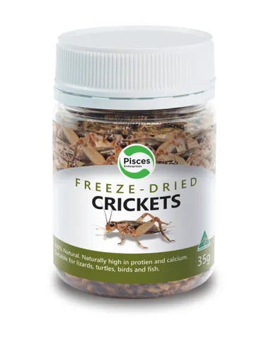 Freezedried Crickets Jar 35G