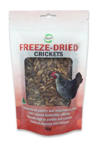 Freeze Dried Crickets- 50G