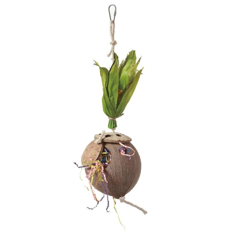 Foraging Coconut Flowerpot - 34x13cm