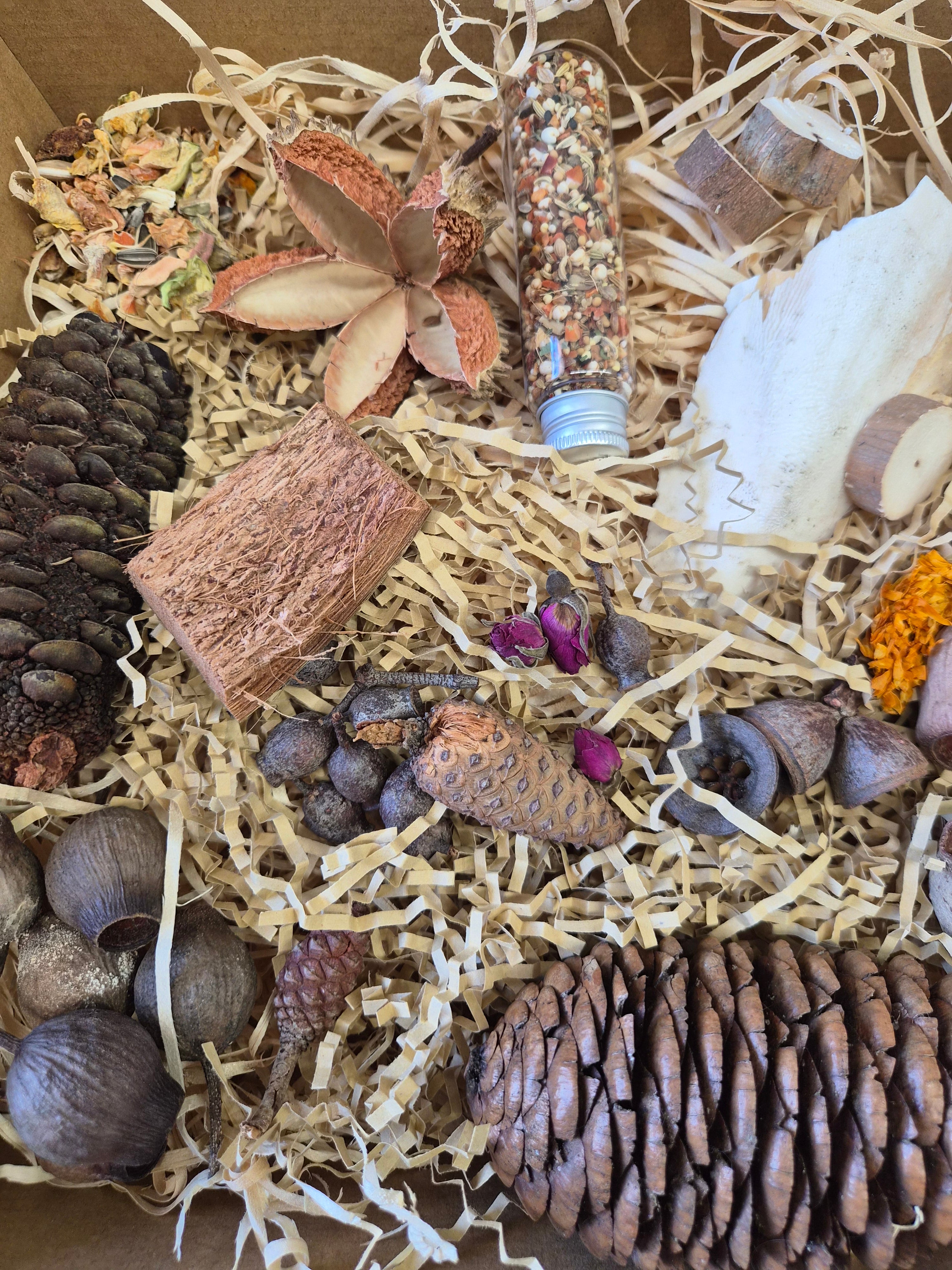 Feathered Feast Natural Foraging Box with Topper - Medium to Large Birds