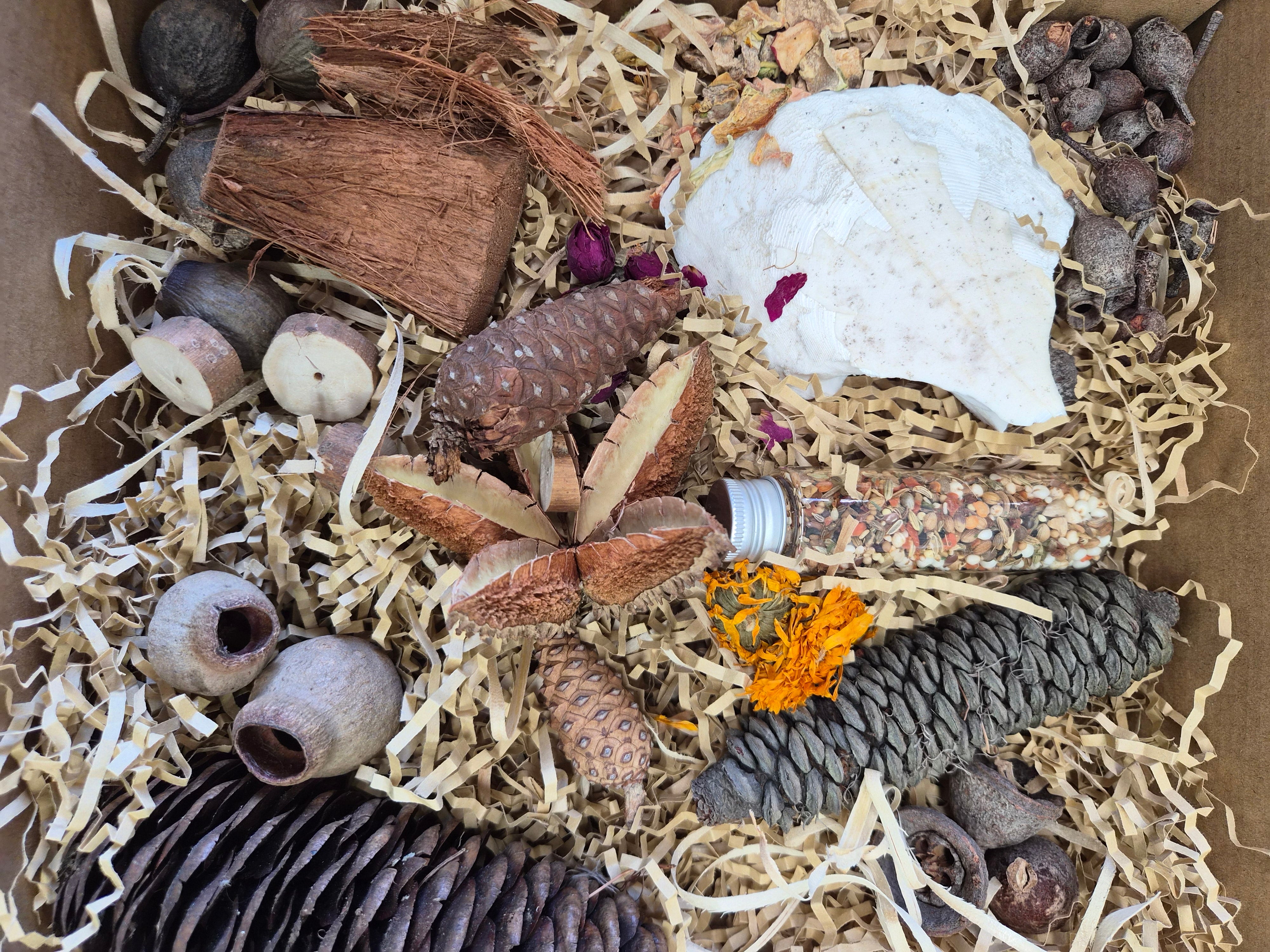 Feathered Feast Natural Foraging Box with Topper - Medium to Large Birds