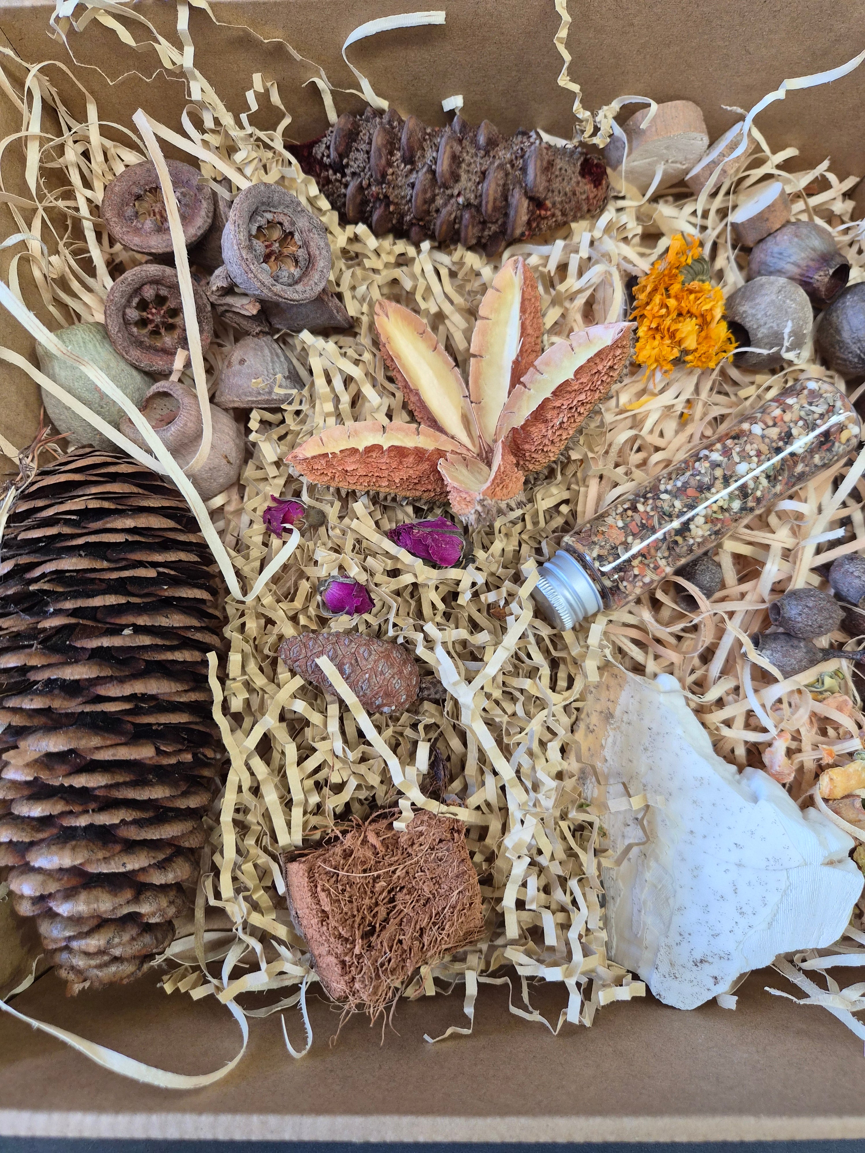 Feathered Feast Natural Foraging Box with Topper - Medium Birds