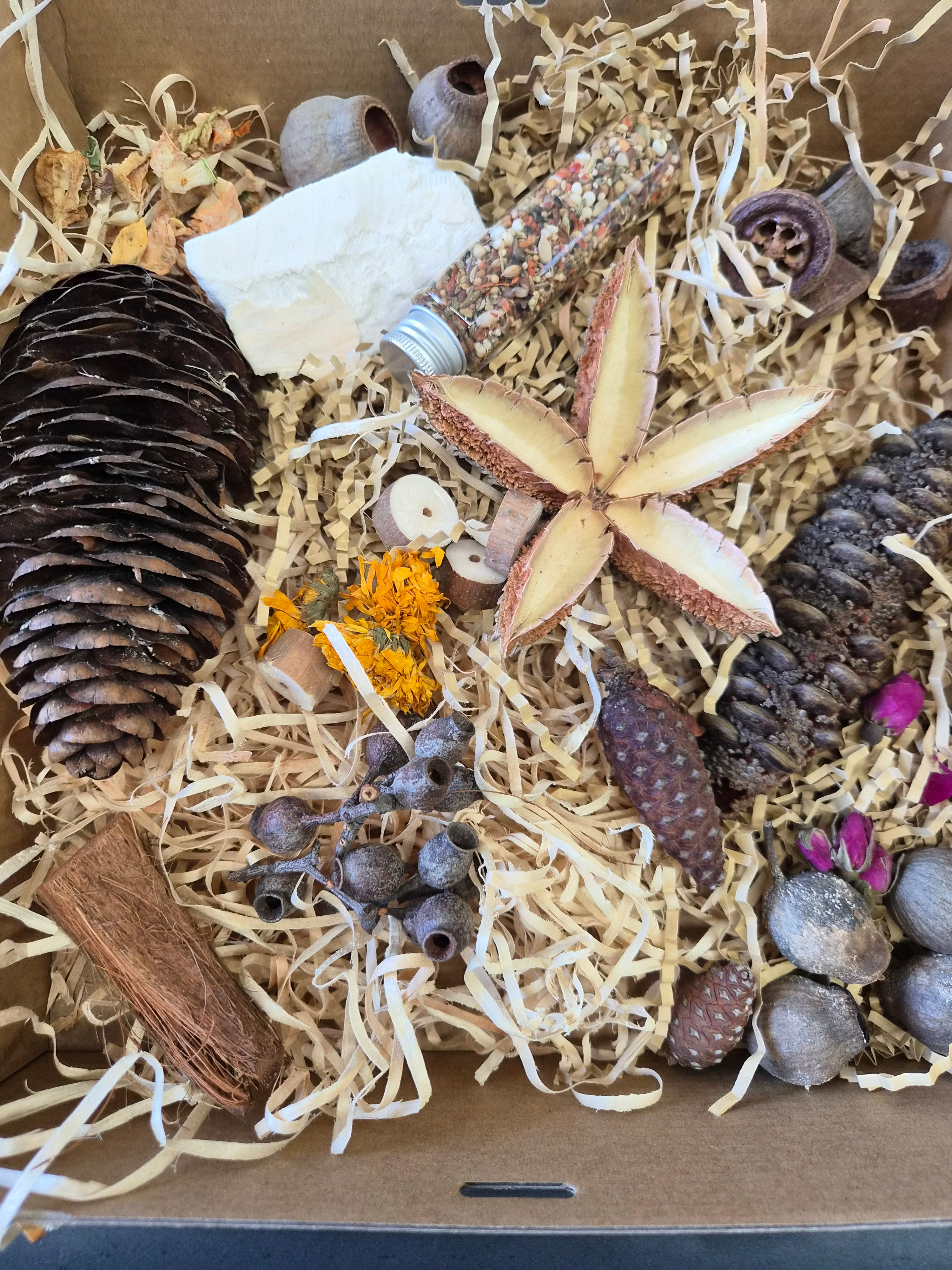 Feathered Feast Natural Foraging Box with Topper - Medium to Large Birds