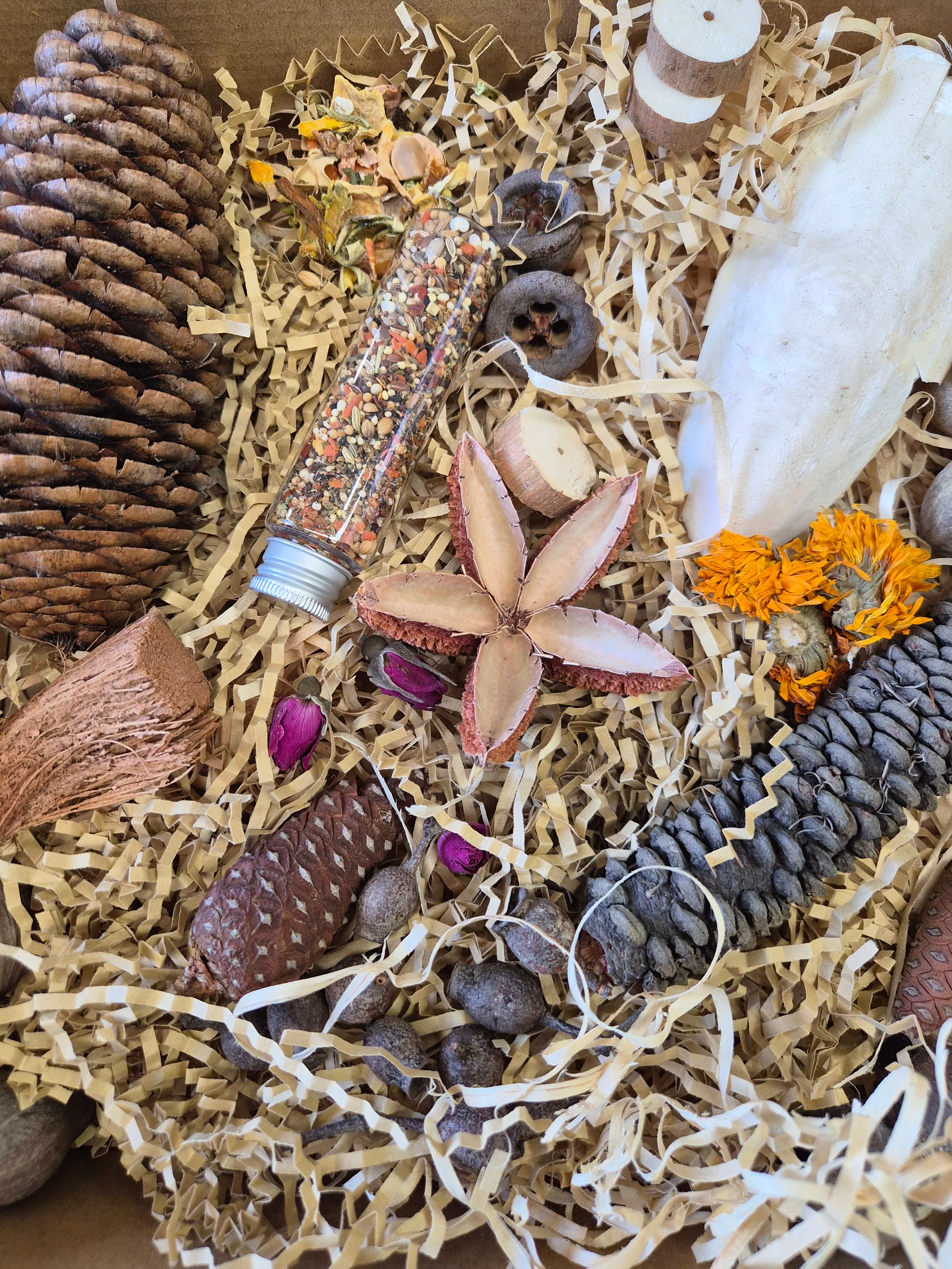 Feathered Feast Natural Foraging Box with Topper - Medium to Large Birds