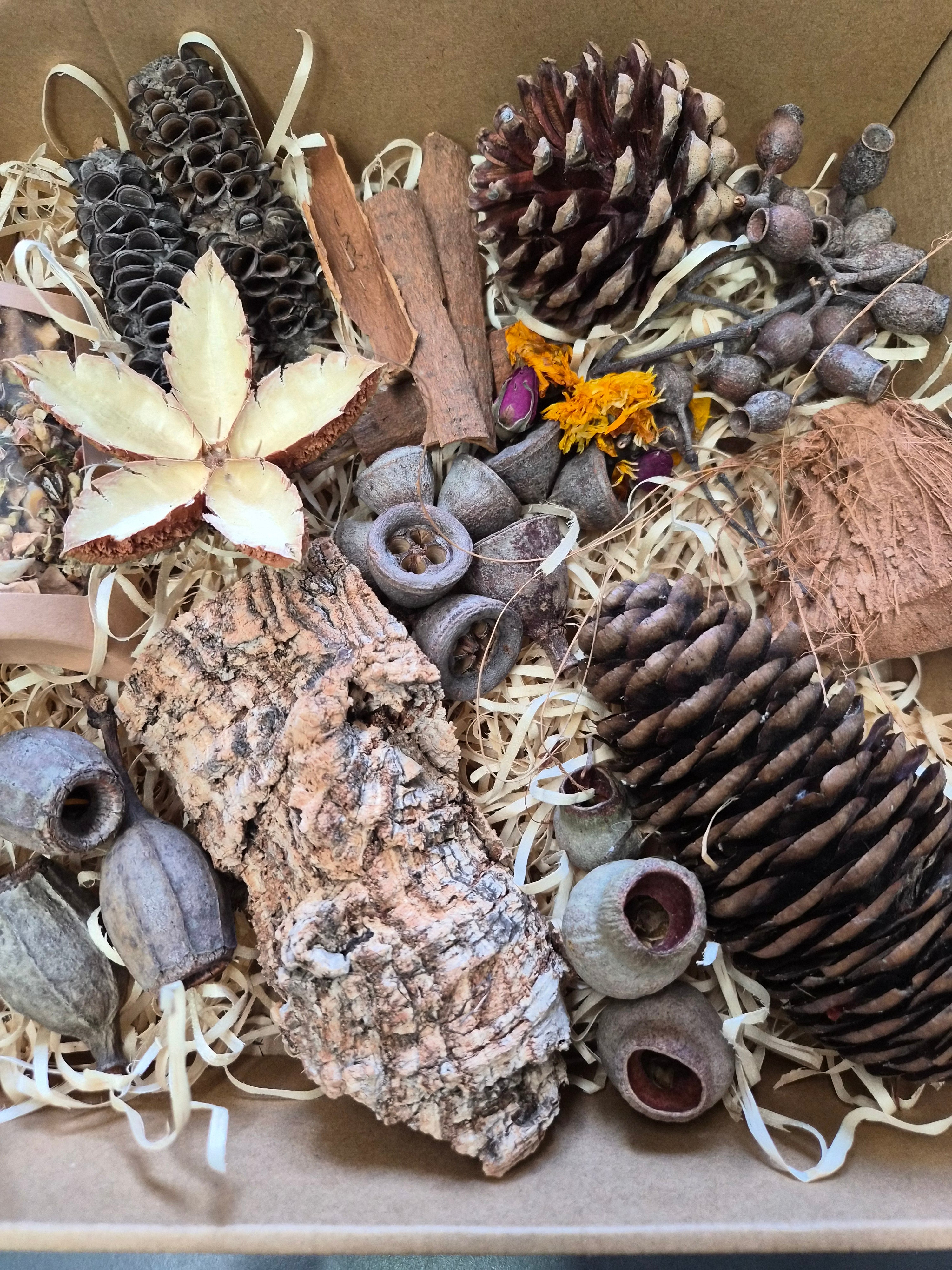 Feathered Feast Natural Foraging Box with Topper - Medium Birds