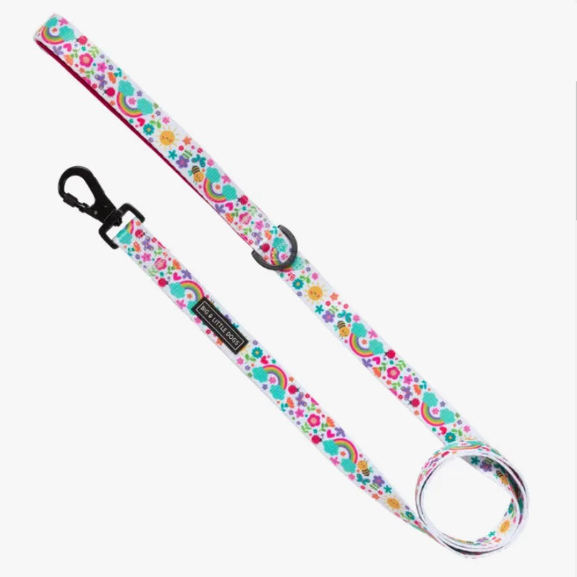 Follow The Rainbow - Dog Leash