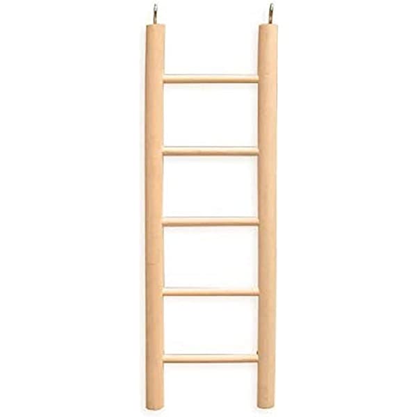 Ladder Wooden